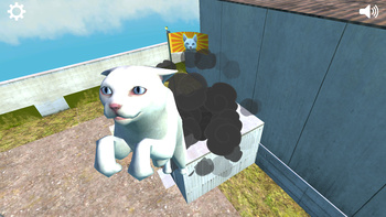 Cat Duel 3D