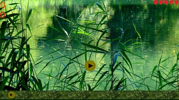 The Last Duck Hunter