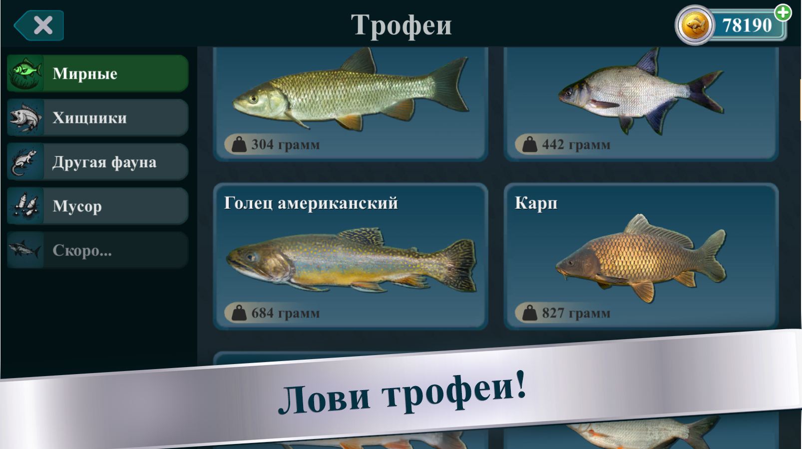 Орыс қыздарының нағыз порно видеолары