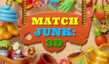 Match Junk: 3D