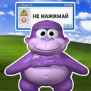 Бонзи вирус