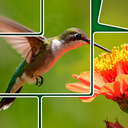 Собери Картинку