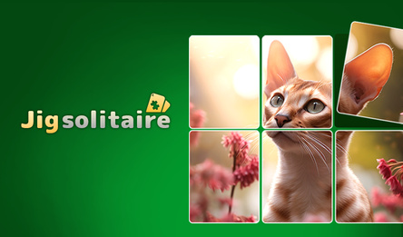 Jigsolitaire