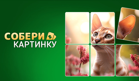 Собери Картинку