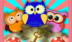 Crazy Owls