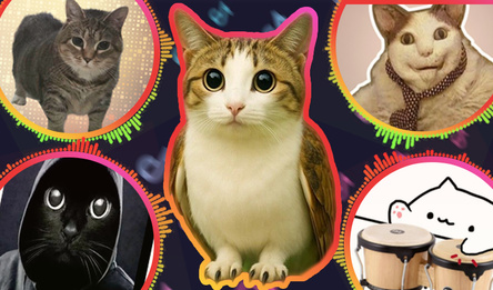 Meme Rhythm Clicker - Evoluti Songs of Funny Cats!