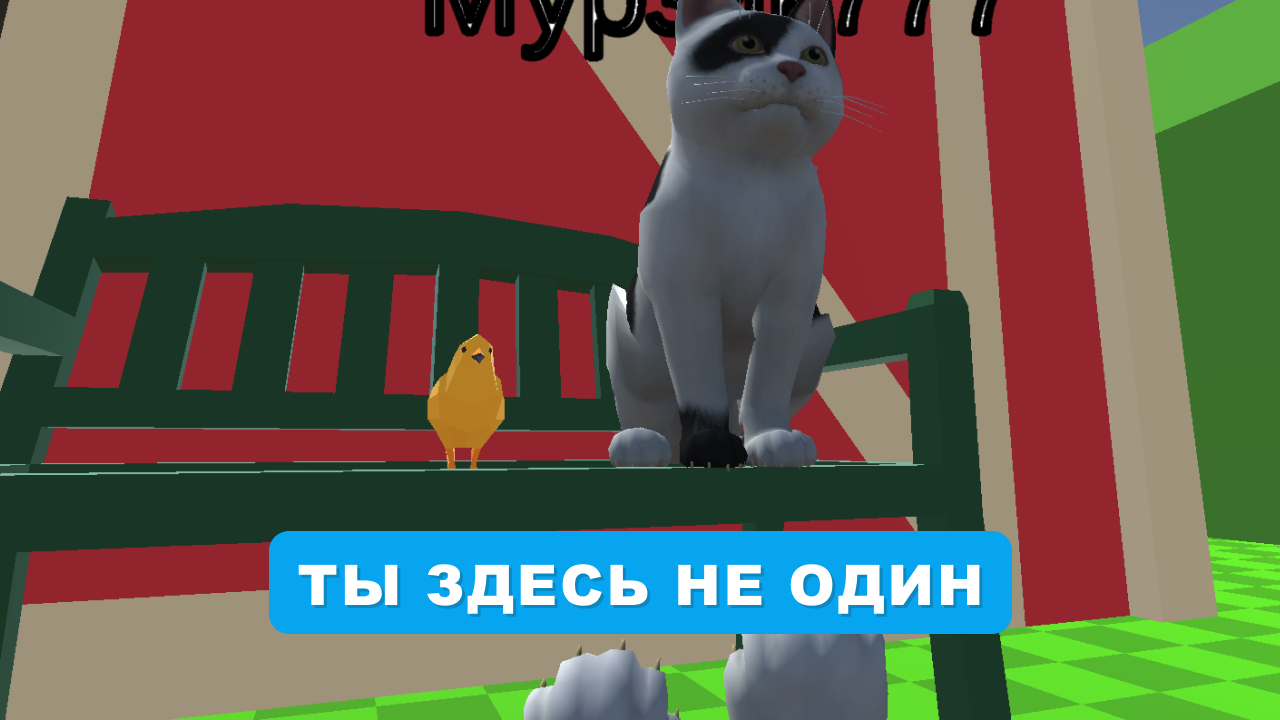 Кот на Киностудии