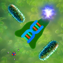 Эволюция жизни : кликер