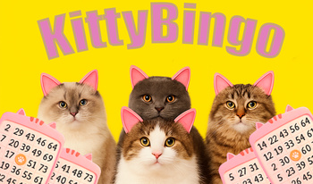 KittyBingo