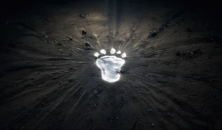 Шаги Во Тьме