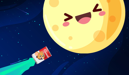 Сырная Луна: Полет