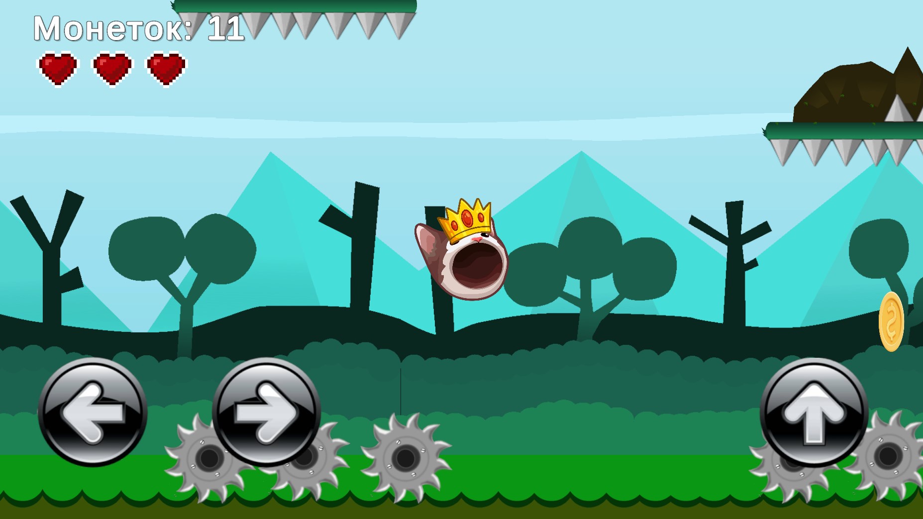 Приключение мемного кота