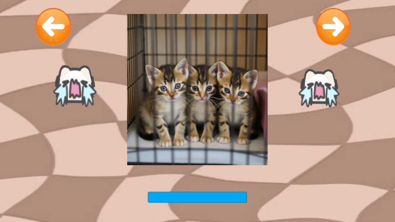 Спаси Котят