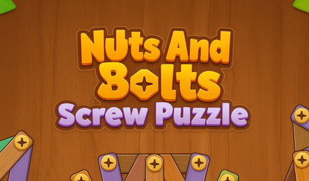 Nuts And Bolts Screw Puzzle