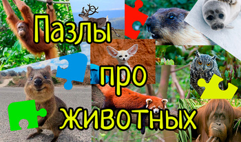 Пазлы про животных