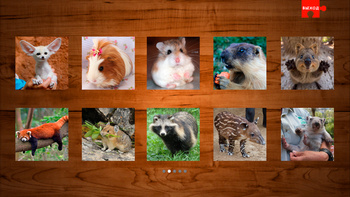 Пазлы про животных