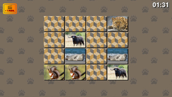 Мемори - найди пару! Дикие животные