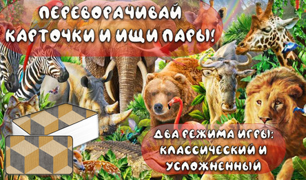 Мемори - найди пару! Дикие животные