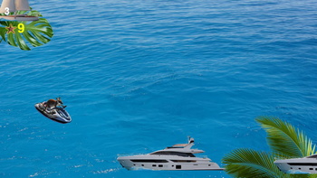 Кенгуру на море