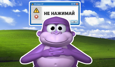 Бонзи вирус