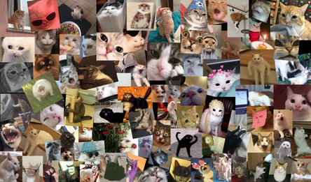 Mem Cats Click Simulator