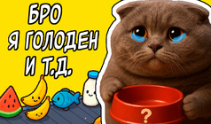 Накорми Братуху Тайкун