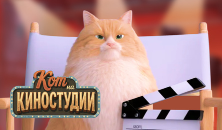 Кот на Киностудии