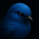 Эволюция птиц