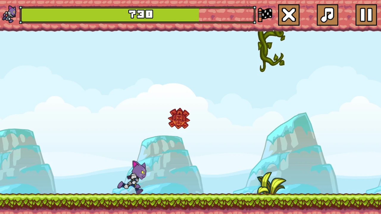 Паучья сила кота