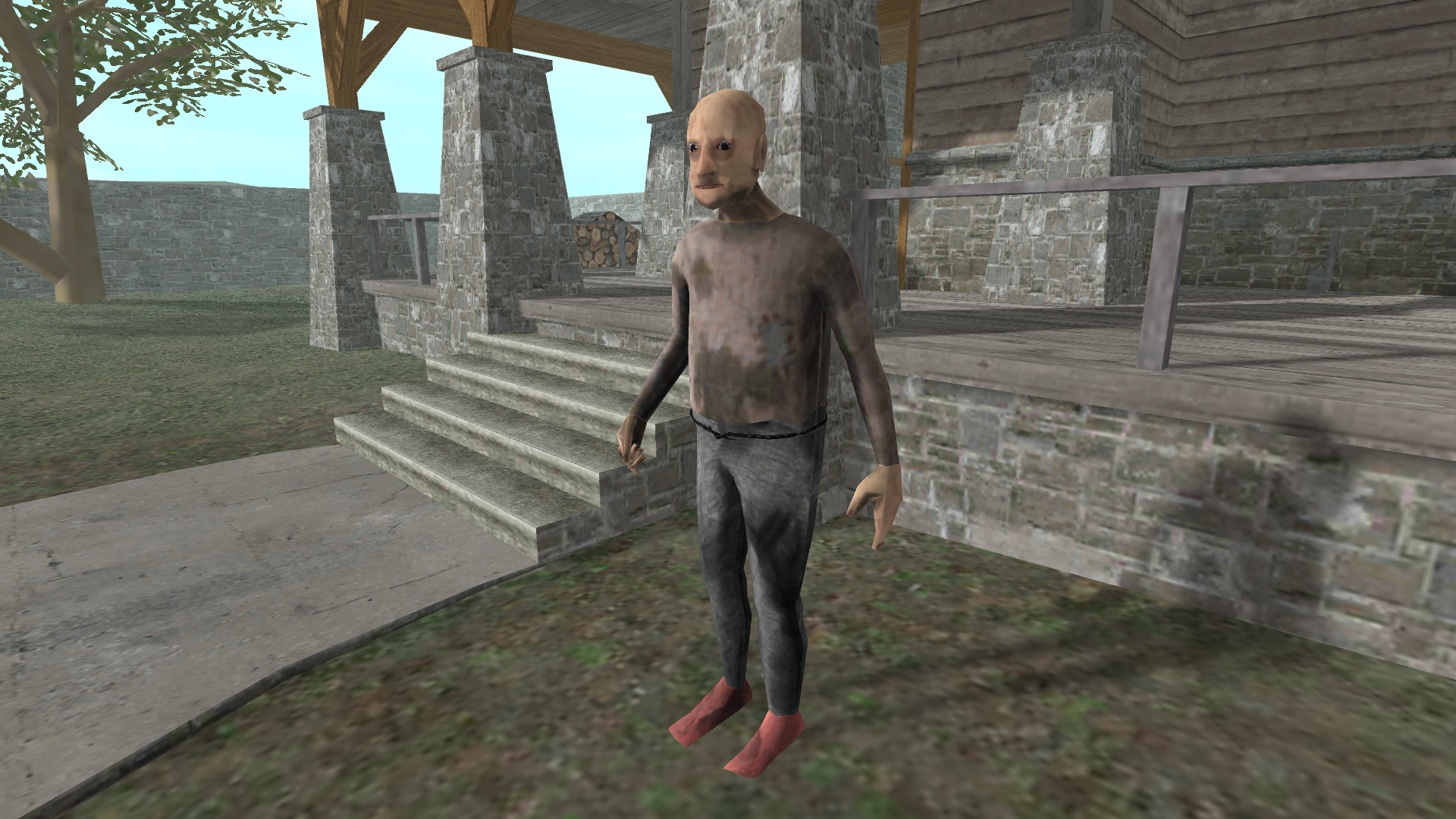 Скулбой и Гренни: День Рождения