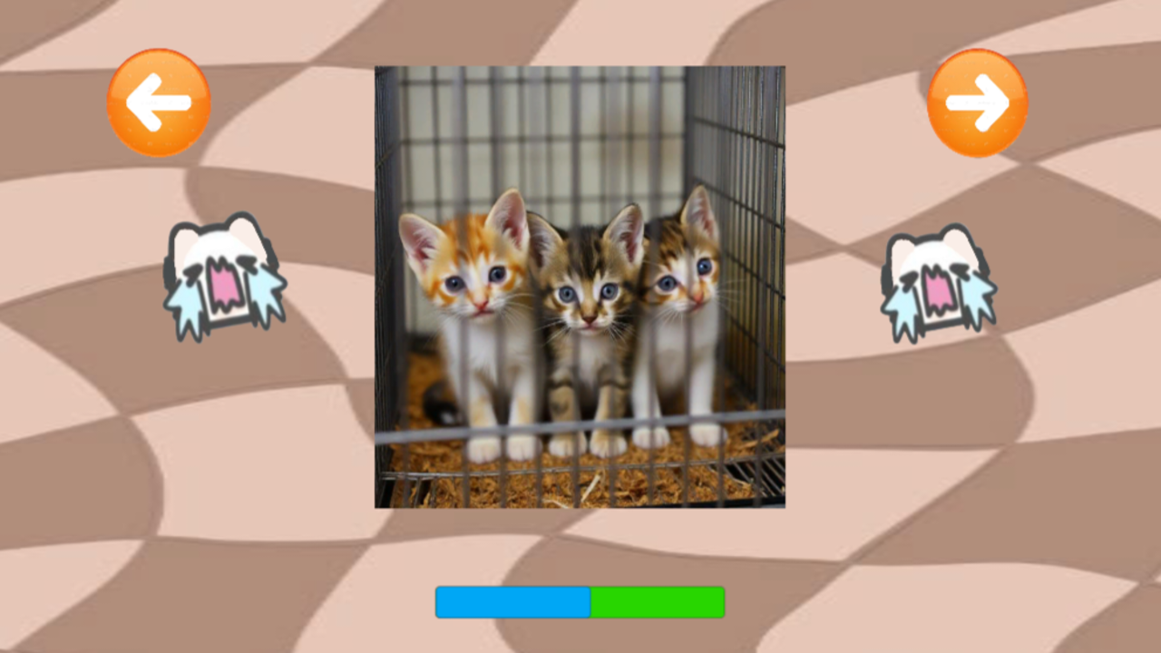 Спаси Котят