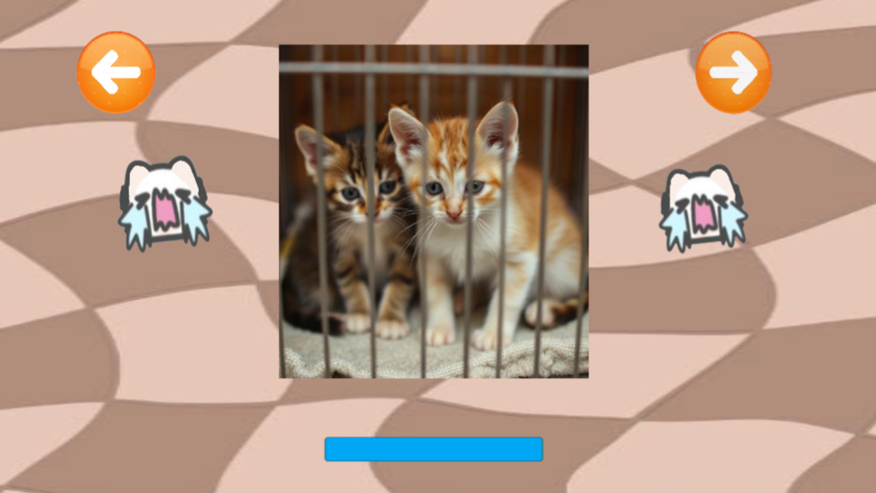 Спаси Котят