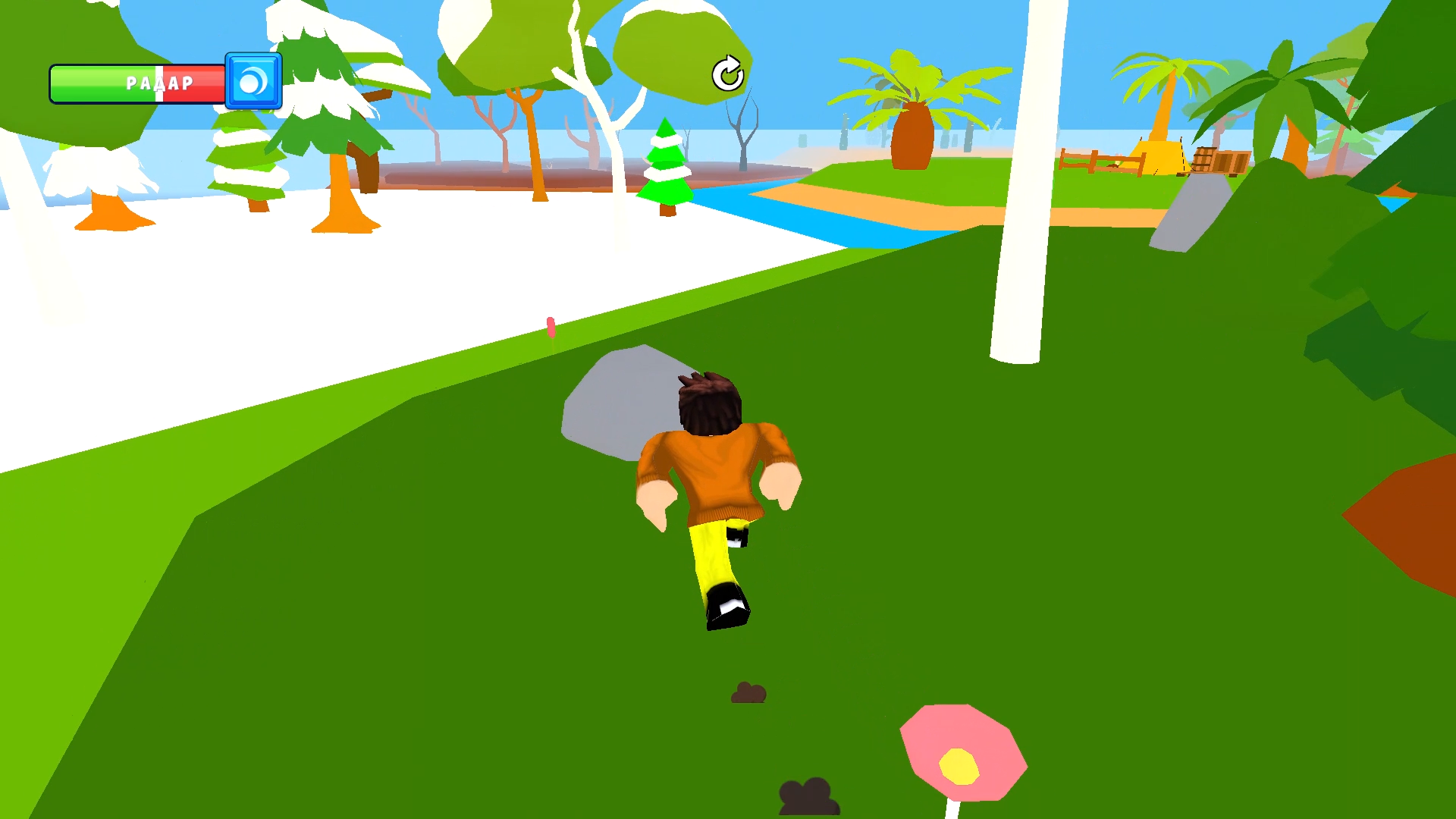 Прятки Робби: Розыск смешных животных