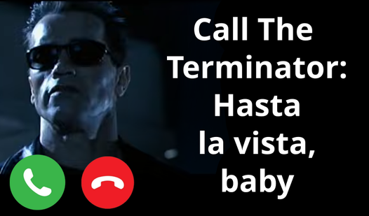 Call The Terminator: Hasta la vista, baby