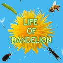 The Life of Dandelion