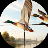 Wild Hunt: Find Animals