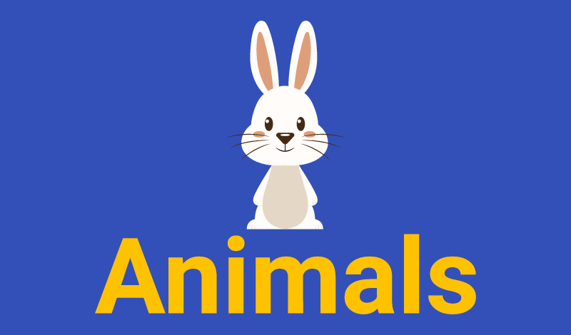Animals — play online for free on Yandex Games