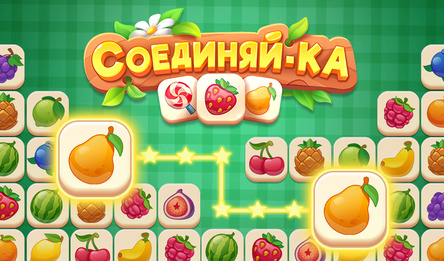 Соединяйка