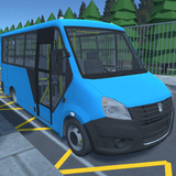 Moscow Bus Driver