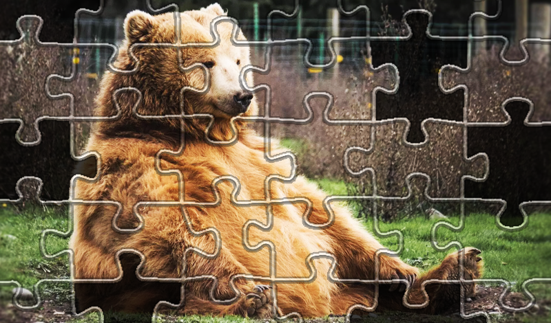 Animals Jigsaw Puzzles — play online for free on Yandex Games