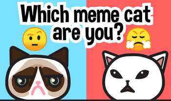 Which Meme Cat Are You?