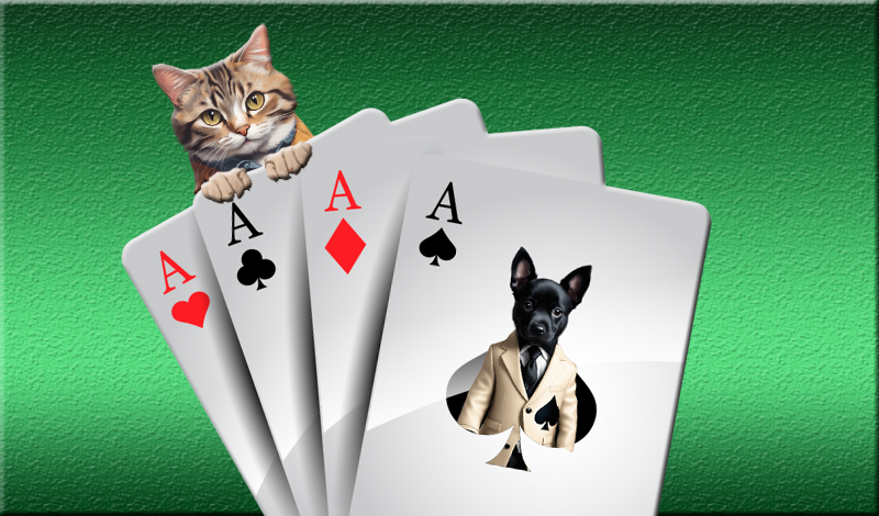 Solitaire Collection: Play Online For Free On Playhop