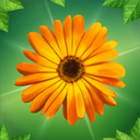 Соединяем цветы: Садовое слияние