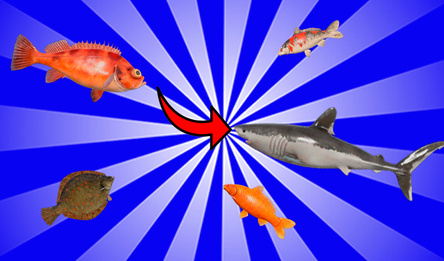 Русская Рыбалка Эволюция!