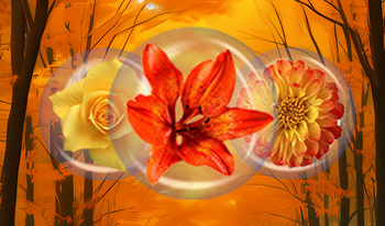 Connect the Flowers Game: Autumn Flowers