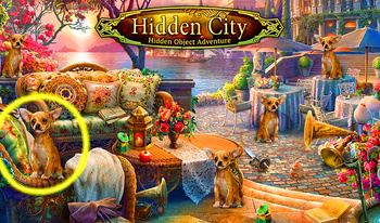 Hidden City