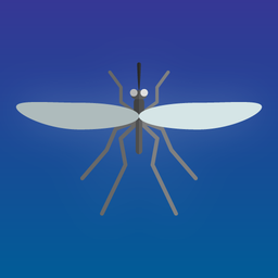 Mosquito