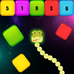 Snake, Blocks and Numbers