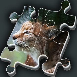 World Puzzles - Animals