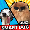 Quiz smart dog